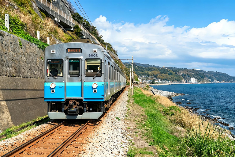 Small Group Day Tour:Omuro Mountain & the Izu Scenic Railway Hotel Transfer Option