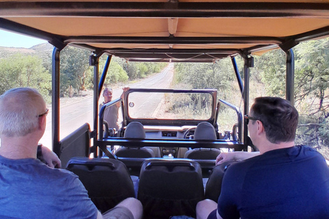 Johannesburgo: Safari privado de 2 días al Parque Nacional de Pilanesberg