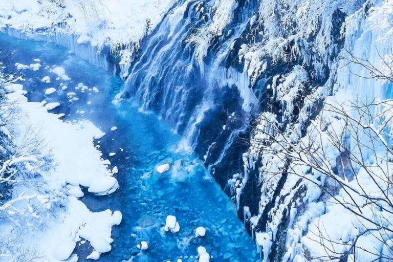 Hokkaido : excursion d'une journée au zoo d'Asahiyama, aux chutes de Shirahige et à l'étang de BieiAu départ de Sapporo : visite du zoo de Hokkaido, des chutes de Shirahige et 