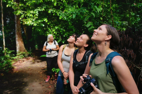 Parco Nazionale del Corcovado: Tour guidato a piedi - Giorno intero