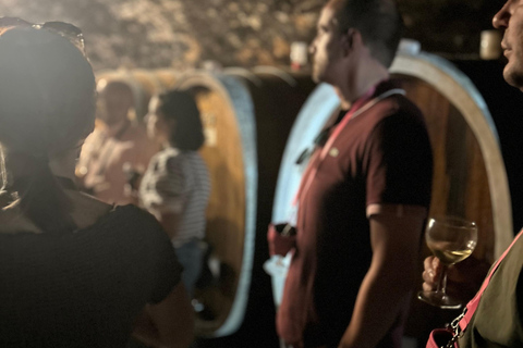 Johannisberg Rheingau: Wine tasting with cellar tour and hike