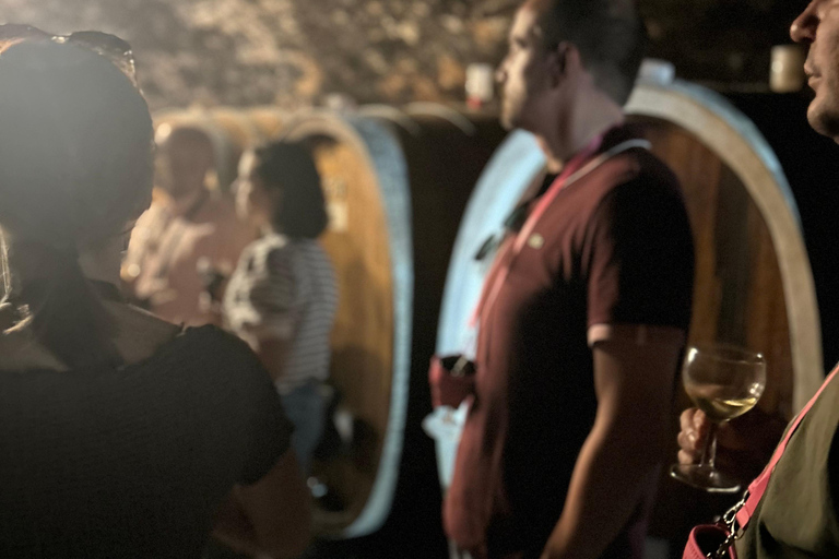 Johannisberg Rheingau: Wine tasting with cellar tour and hike