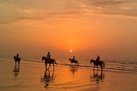 Muscat: Sunset Horse Riding on the Beach + Private Transfer