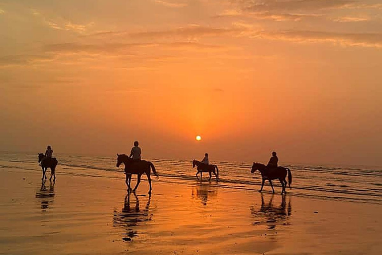 Muscat: Sunset Horse Riding on the Beach + Private Transfer