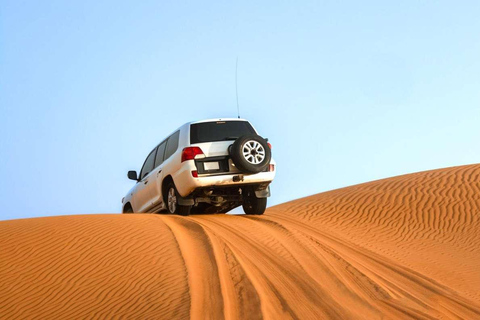 Från Agadir: Mini Sahara dagstur med lunch