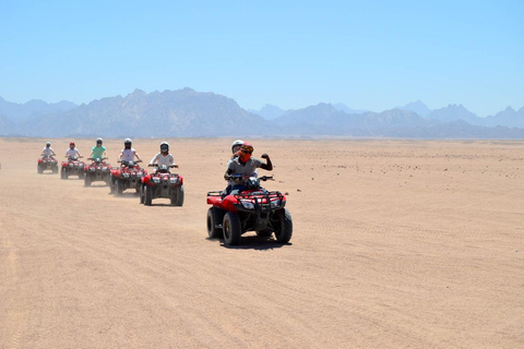 Hurghada: Quad and Buggy Safari with Dinner and ShowPickup from Hurghada City Hotels