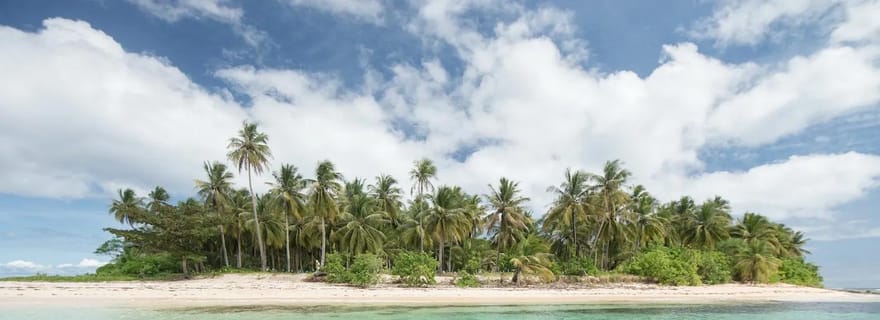 Coron : excursion sur les récifs et les épaves avec équipement de plongée avec tuba
