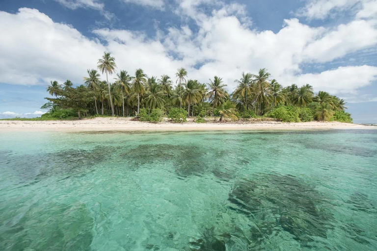 Coron: tour delle barriere coralline e dei relitti con attrezzatura per lo snorkelingTour privato