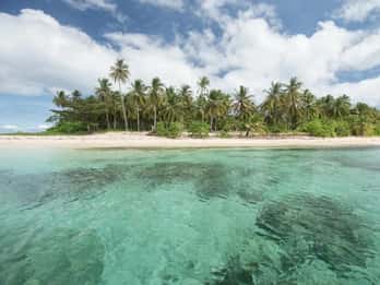 Coron: excursión a los arrecifes y pecios con equipo de snorkel