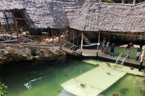 Zanzibar: Maasai Village Tour & Lagoon Aquarium Zanzibar: Maasai Village Tour without Lagoon Aquarium