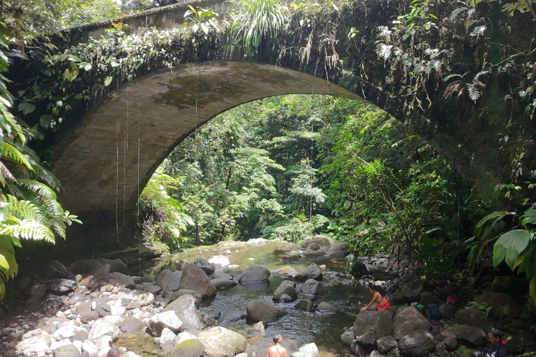 4x4 Land Rover day trip with Fanm Sosyal Kréyol in Guadeloupe Half-Day