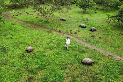 The Galapagos Giant Tortoise Experience | Iconic Shared Tour The Galapagos Iconic Giant Tortoise Experience | Shared