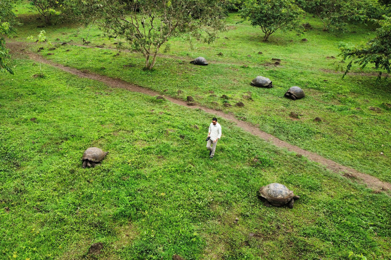 The Galapagos Giant Tortoise Experience | Iconic Shared Tour The Galapagos Iconic Giant Tortoise Experience | Shared