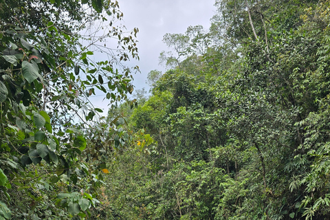 Cali: Hike to Jorobas de Camello, Views, and River Swim Cali: Hike to Jorobas de Camello, Scenic Views, and River Swim