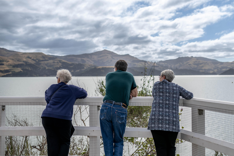 Christchurch: Akaroa Day Tour with Cheese Tasting & Lunch
