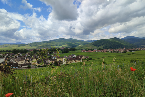 Kaysersberg Vineyard Discovery of the vineyard and wine, Domaine Meyer-Krumb Kaysersberg Vineyard Discover the vineyard and wine, Meyer-Krumb Estate