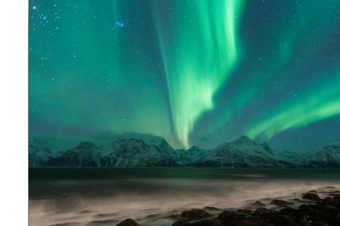 Tromsö: Nordlicht-Verfolgungsjagd im großen Bus mit kostenlosen Fotos