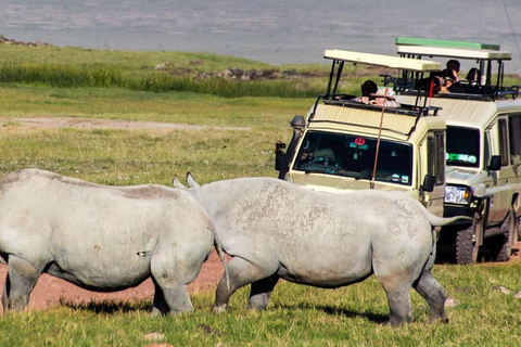 3 Days Private Midrange Safari from Zanzibar with Flights