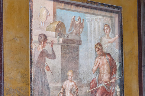 Pompeii: Private Guided Tour with Herculaneum – 3 Options Pompeii Herculaneum & Naples