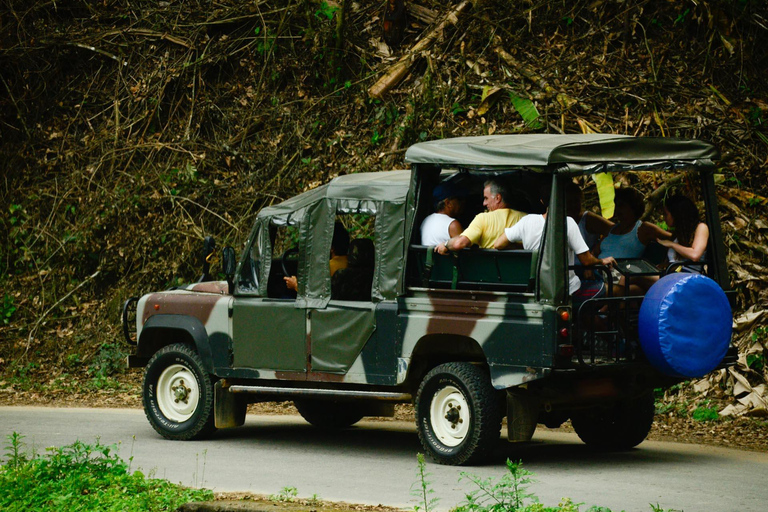 Aventure en Jeep à Paraty : sentier écologique, distillerie et baignade dans la rivièreAventure en Jeep à Paraty : parcours écologique, distillerie et baignade dans la rivièr