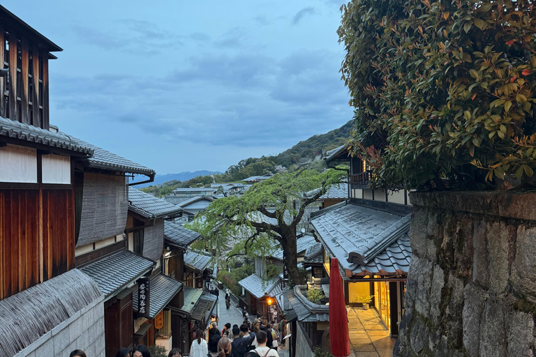 Tour privato di Kyoto