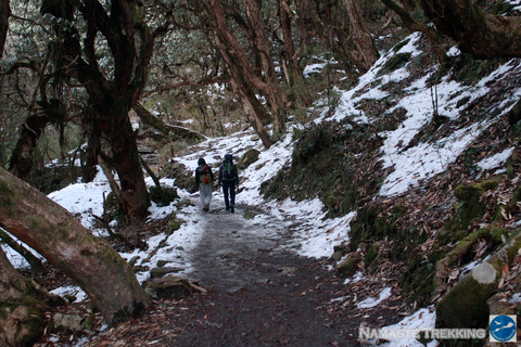 From Pokhara: 2-Day Short Poon Hill Trek