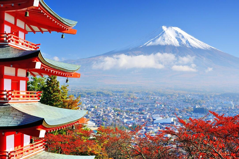 Monte Fuji, Oshino Hakkai, Lago Kawaguchi, tour particular de 1 dia