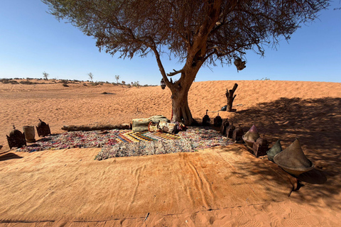 Agadir: Souss Massa 4WD Desert Safari with Lunch