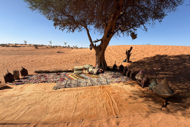 Agadir: Souss Massa 4WD Desert Safari with Lunch
