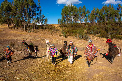 Magical rituals and the challenge of the Llamas