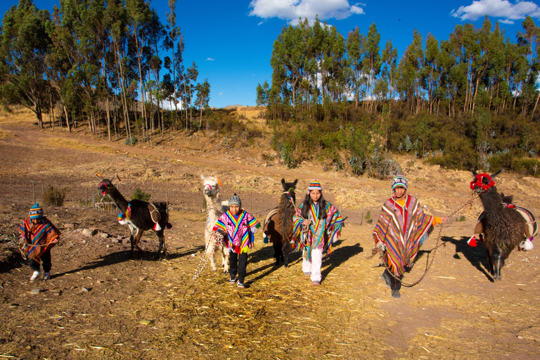 Magical rituals and the challenge of the Llamas