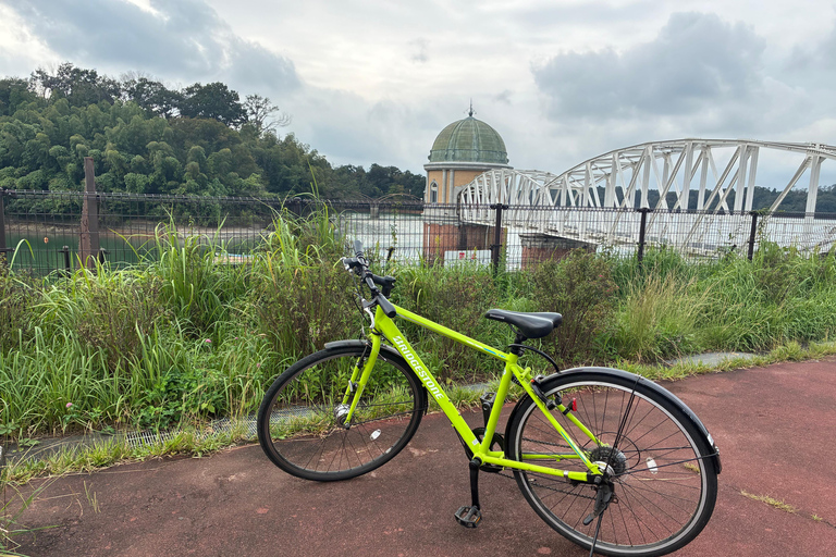 Tokyo: Lake Tama E-Bike Tour with Matcha Break