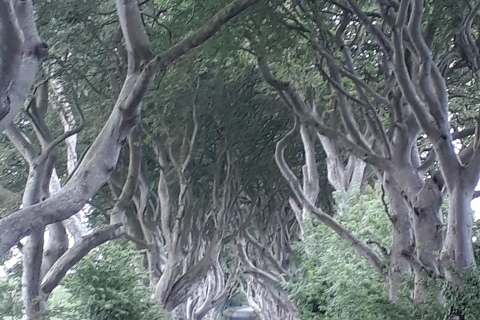 Vanuit Belfast: De Giant's Causeway & Game of Thrones Tour