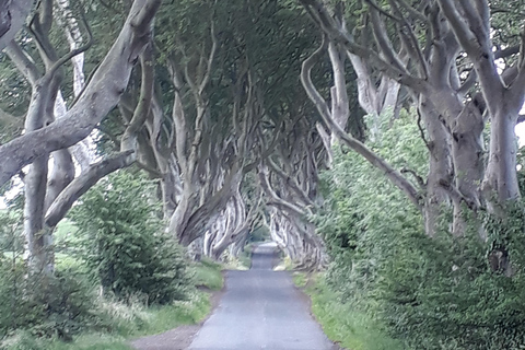 Vanuit Belfast: De Giant's Causeway & Game of Thrones Tour