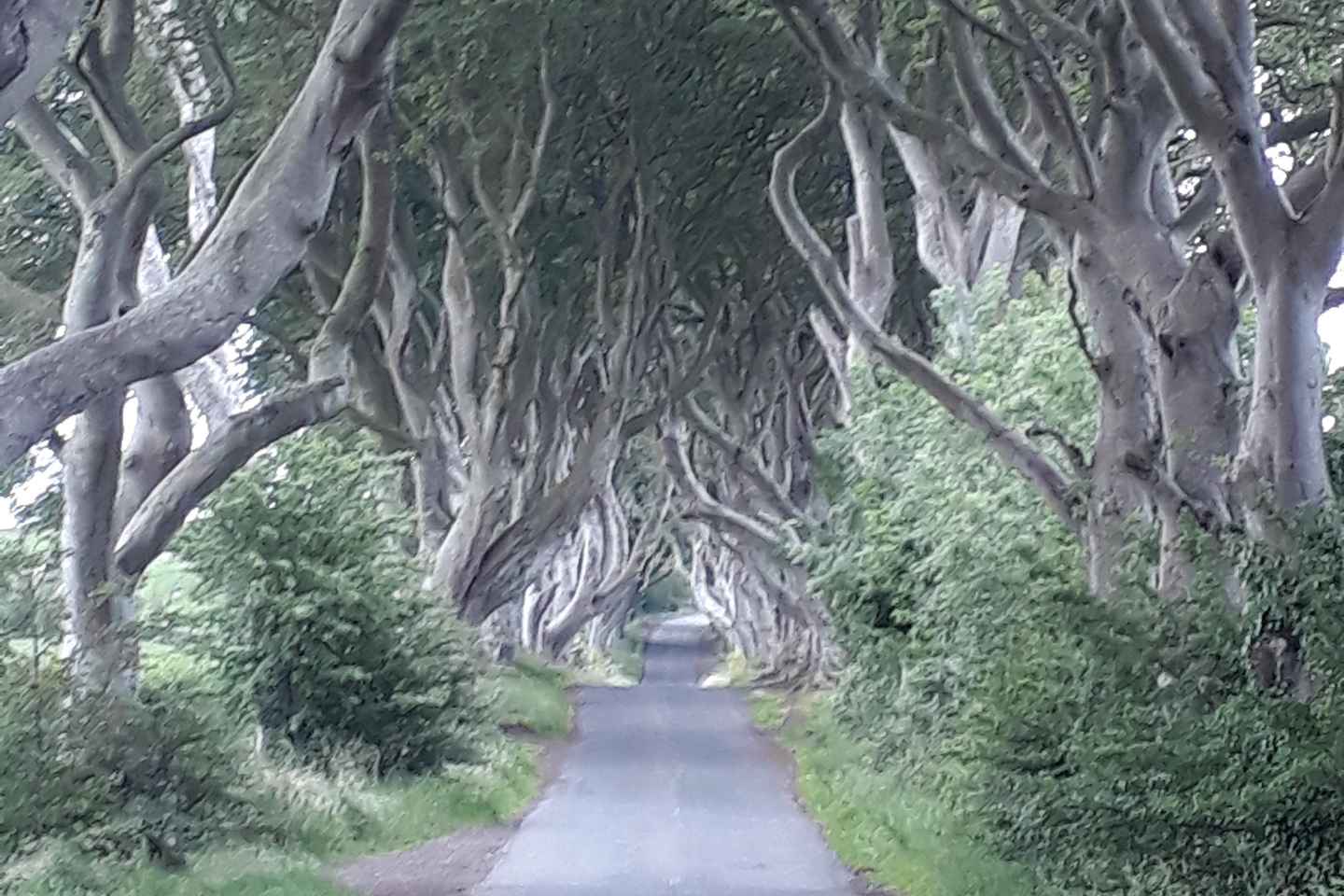 From Belfast: The Giant's Causeway & Game of Thrones Tour - From Belfast: The Giant's Causeway & Game of Thrones Tour