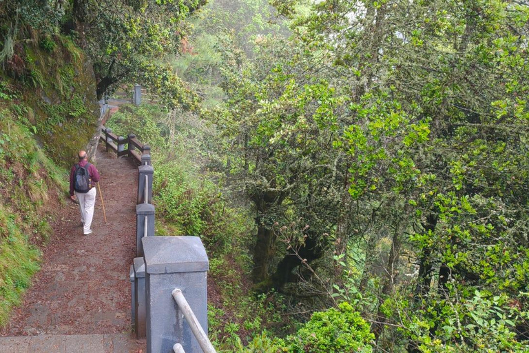 7-Days in Bhutan with River Rafting, Farm Lunch & Stone Bath