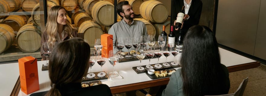 Santiago : Visite Expérience Sensorielle Premium Cellar Collection