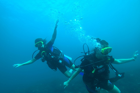 Mirissa: Scuba Diving Experience & Refreshments for Beginner