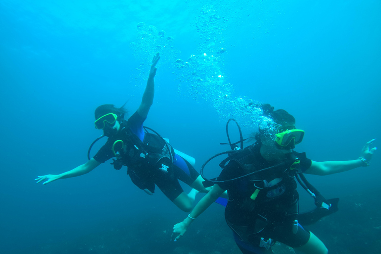 Mirissa: Scuba Diving Experience & Refreshments for Beginner