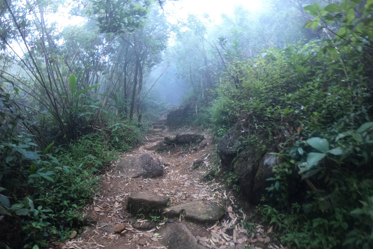 Kandy: Passeio de um dia pelas cachoeiras e vilarejo local com almoço