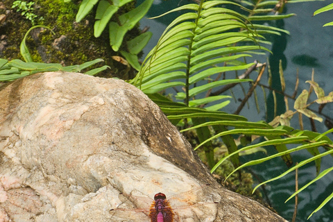 Chiang Mai : Dantewada, terre des anges, et la cascade de Sticky