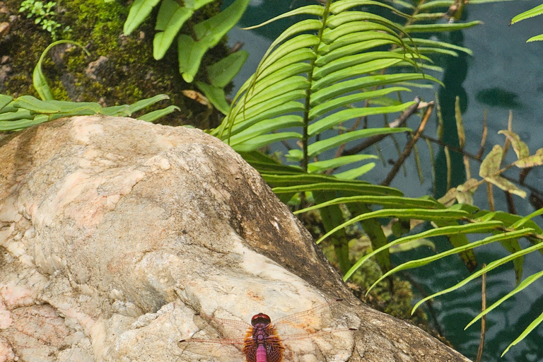 Chiangmai : Sticky waterfall & Land of angels & Wat ban den.