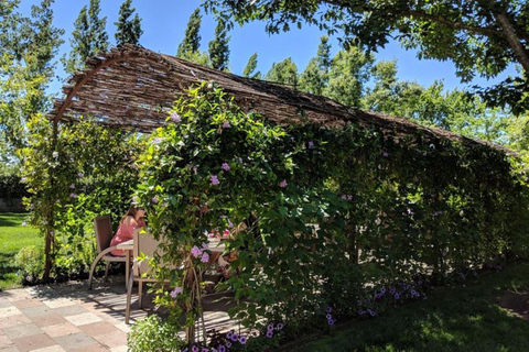 سان فرانسيسكو جولة نبيذ خاصة في نابا ووادي سونوماجولة لمدة 8 ساعات