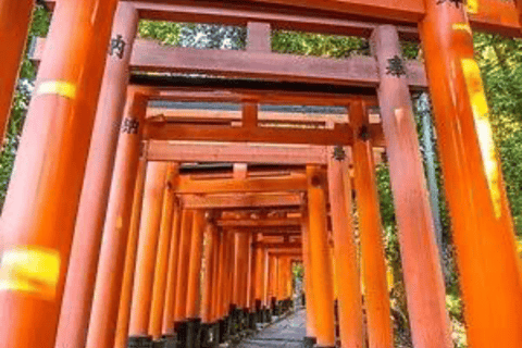 Nara: Private Full-Day Tour with Licensed Guide