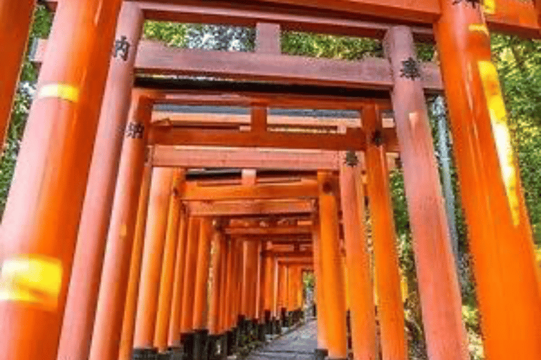 Nara: Private Full-Day Tour with Licensed Guide