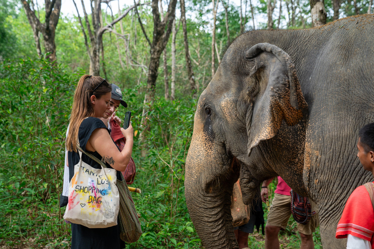 Khao Lak’s Best: Elephant Sanctuary,Rubber Tapping&Waterfall Khaolak Elephant Sanctuary Guided Tour with Hotel Transfers