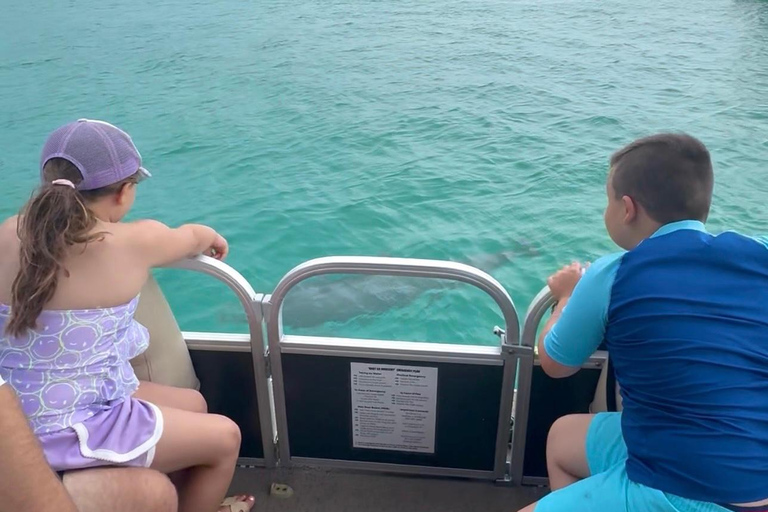 Destin: Destin Dolphin Harbor & Bay Boat Tour