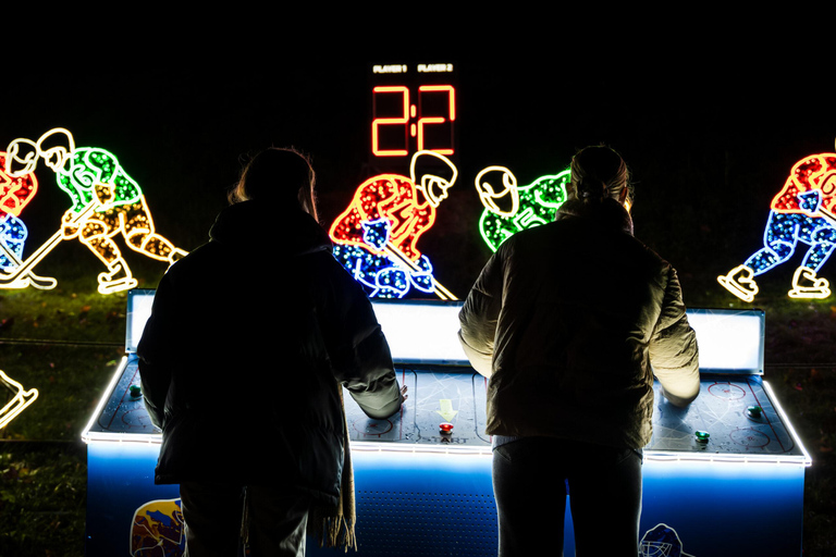 Budapest: biglietto d'ingresso per il Lumina Light Park Wonderworld