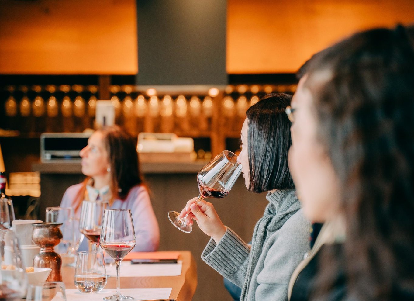 Fra Verona: Amarone-vinsmagningstur med transport