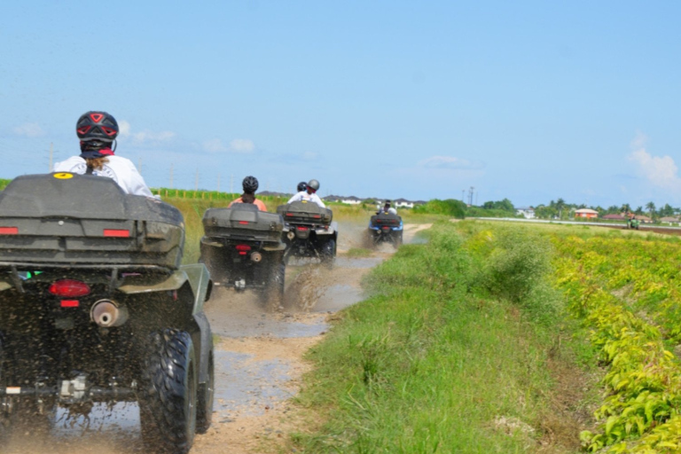 Miami: Tour in ATV con vista panoramica